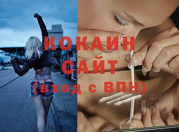 гидра Волосово