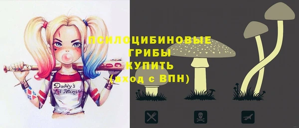 ГАЛЛЮЦИНОГЕННЫЕ ГРИБЫ Вязники